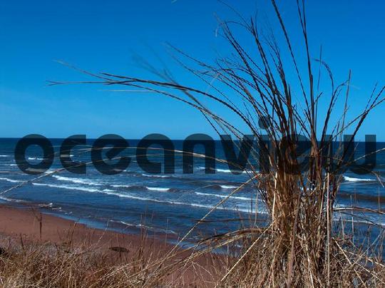 Product picture Day At The Beach 2