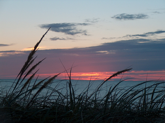 Product picture Day At The Beach 4