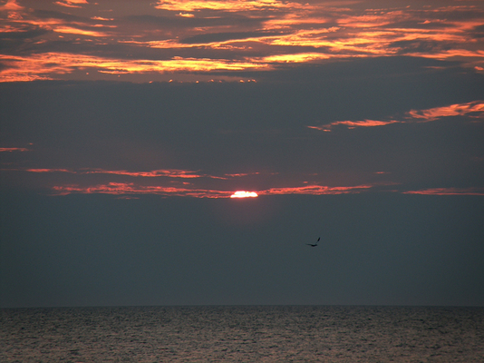 Product picture Day At The Beach 5